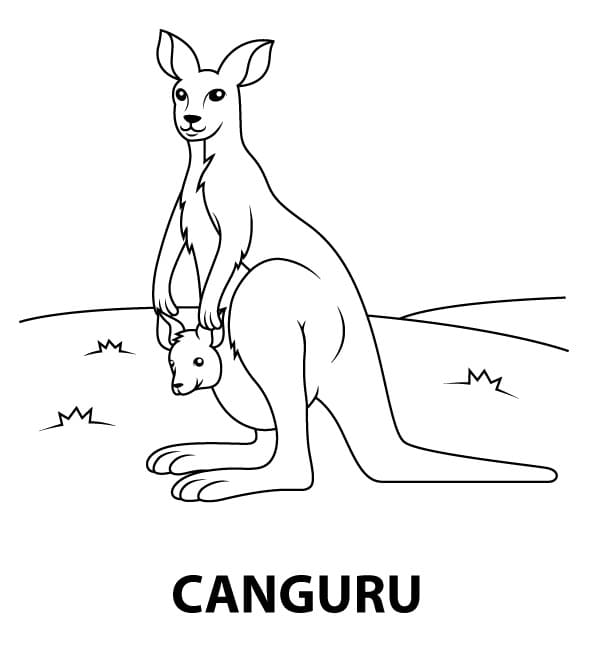 Desenho de Canguru Selvagem para Colorir