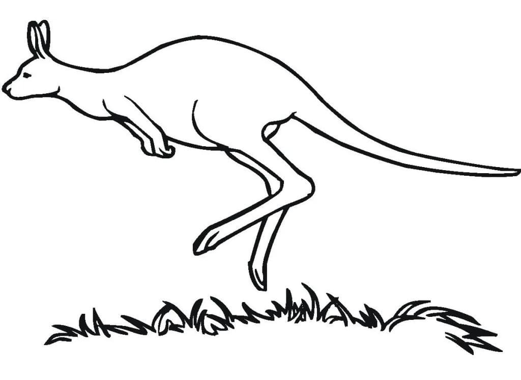 Desenho Simples de Canguru para Colorir com Giz de Cera
