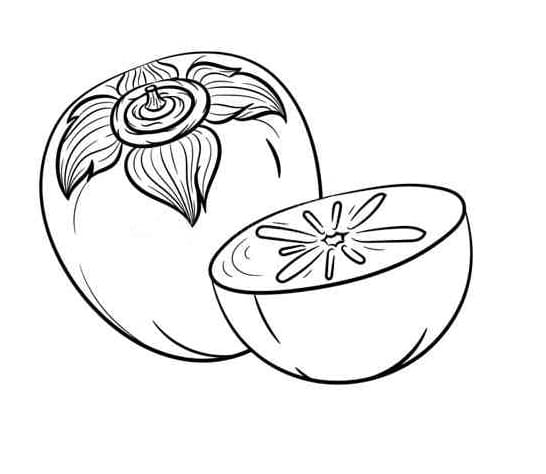 Baixar Desenho de Caqui para Colorir Gratuitamente e Pintar