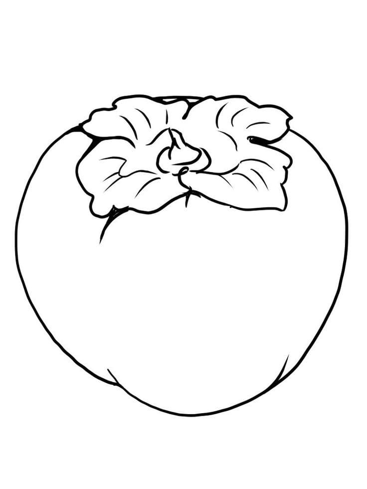 Desenho de Caqui Grande para Colorir e Pintar