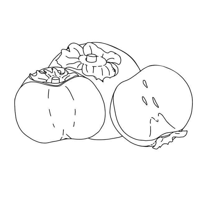 Desenho de Caqui Grátis para Crianças para Colorir e Pintar