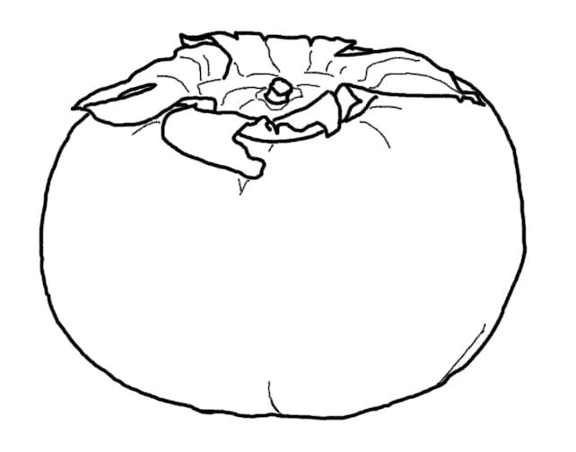 Desenho de Caqui Muito Fácil para Colorir e Pintar