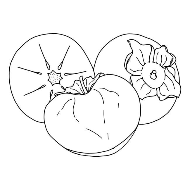 Desenho de Caqui para Crianças para Colorir e Pintar