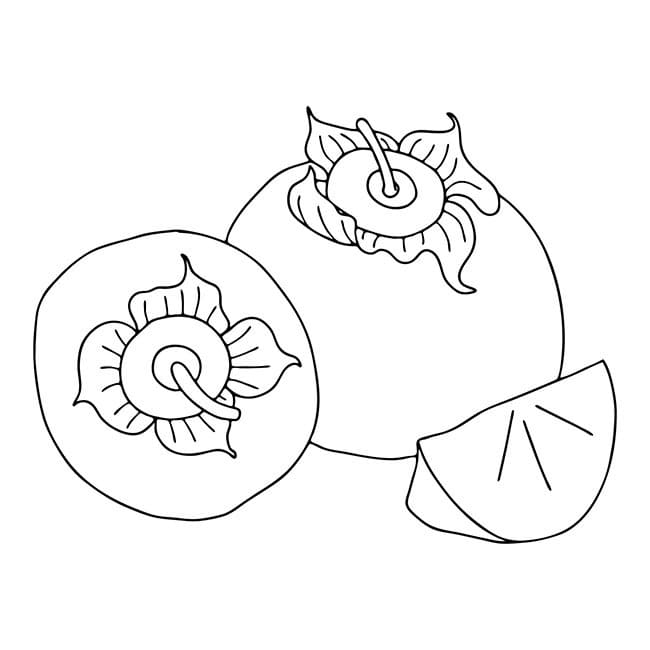 Desenho de Caqui para Desenhar e Colorir Grátis em Pdf e Pintar