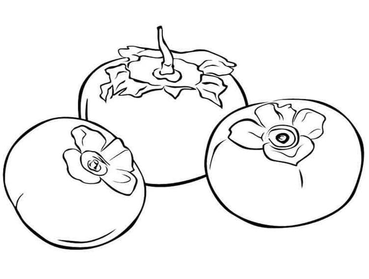 Desenho de Três Caquis para Colorir e Pintar