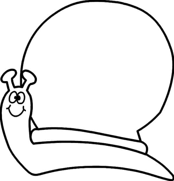 Desenho de um Caracol Muito Fácil para Colorir