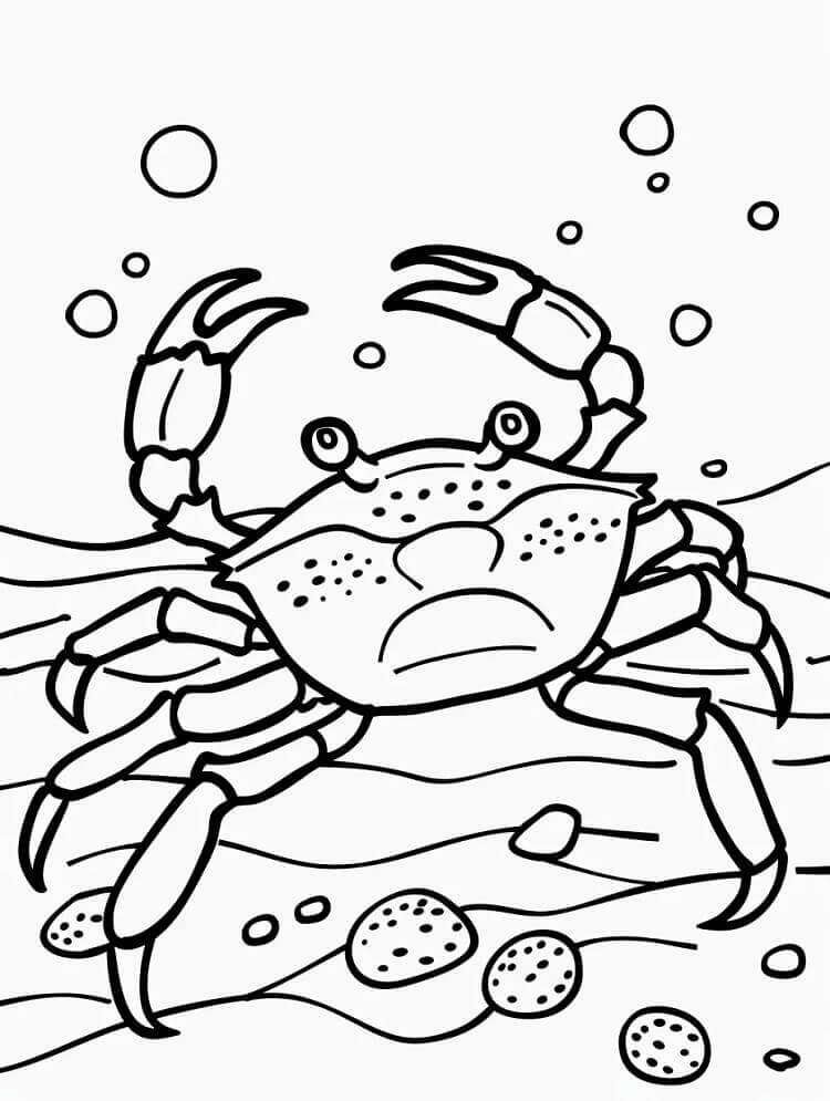 Desenho de Caranguejo Grátis para Colorir e Pintar