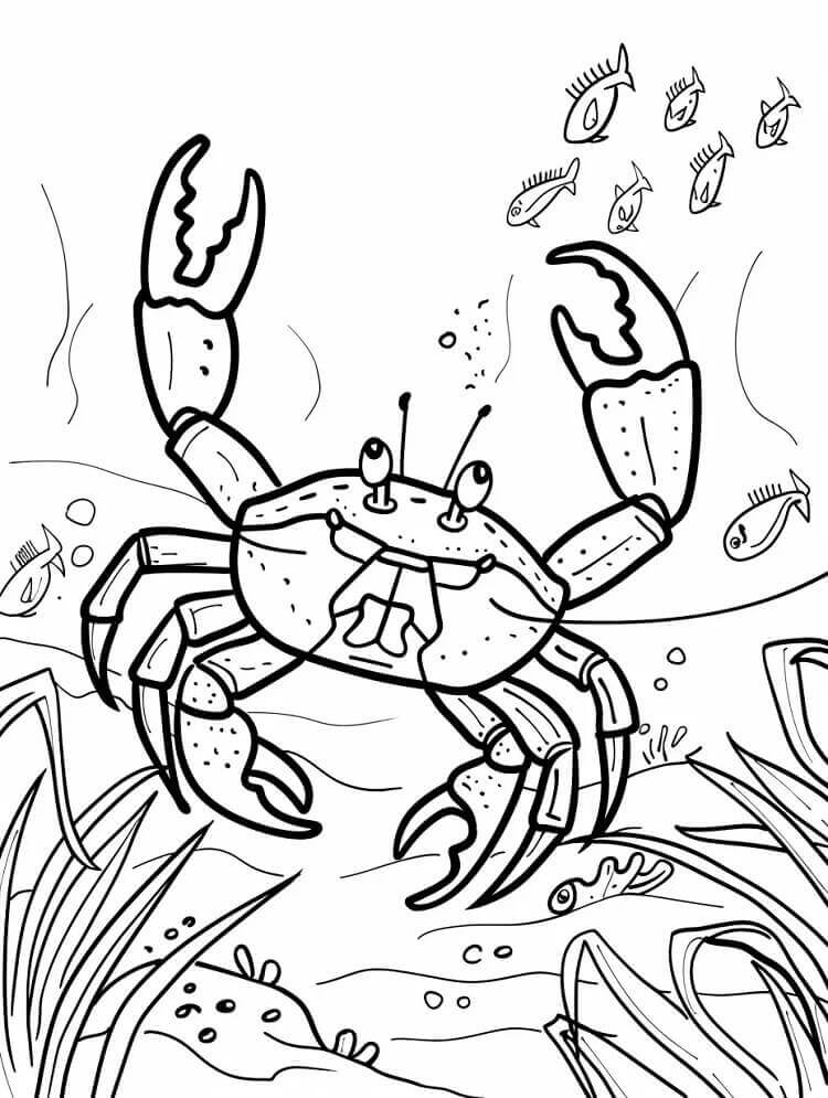 Desenho de Caranguejo Imprimivel Grátis para Colorir e Pintar