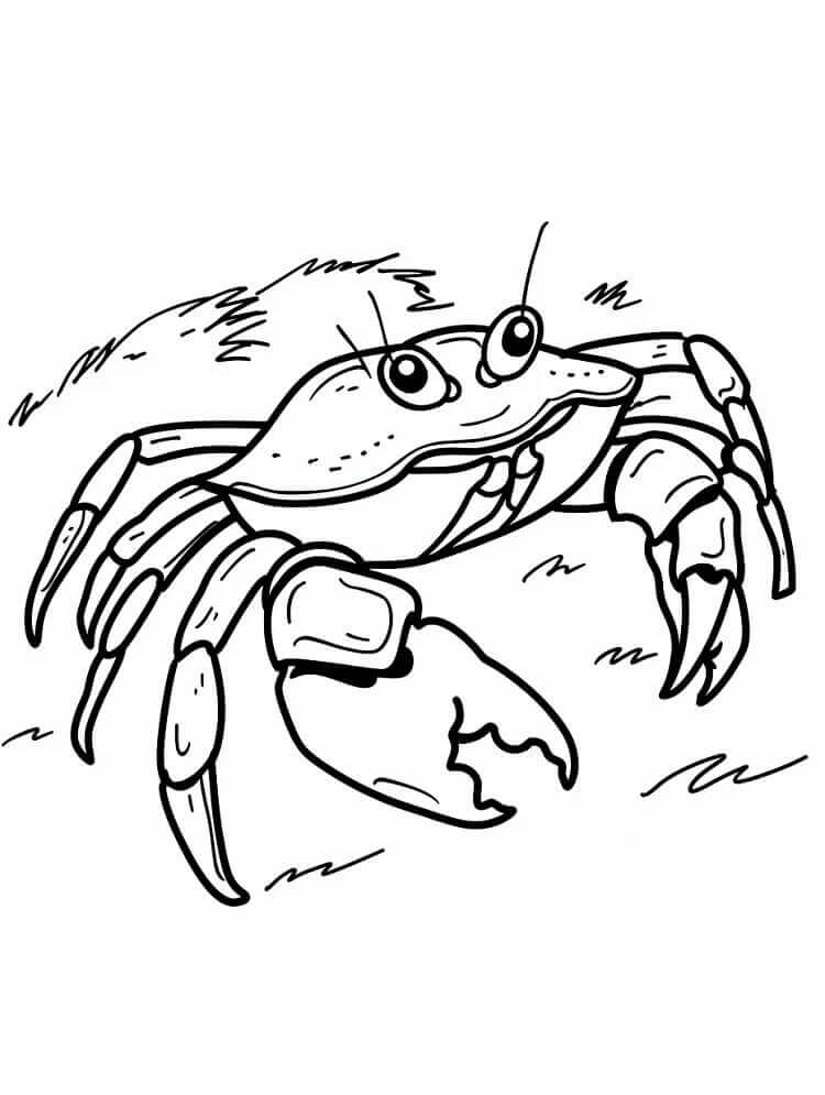 Desenho de um Caranguejo Engraçado para Colorir e Pintar