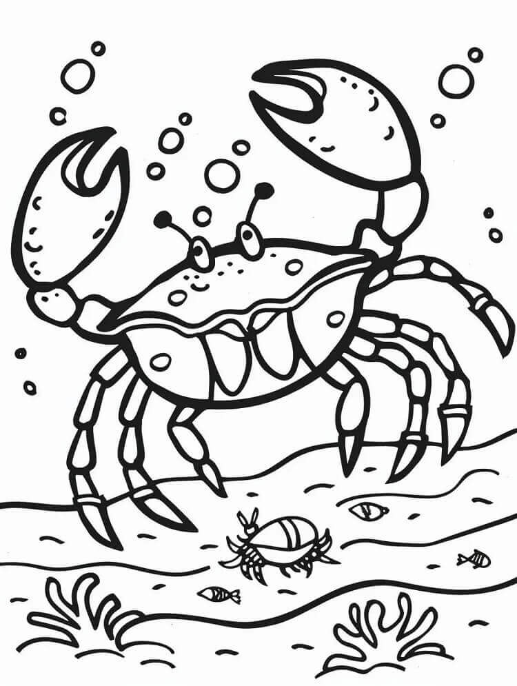 Desenho de um Caranguejo para Colorir e Pintar