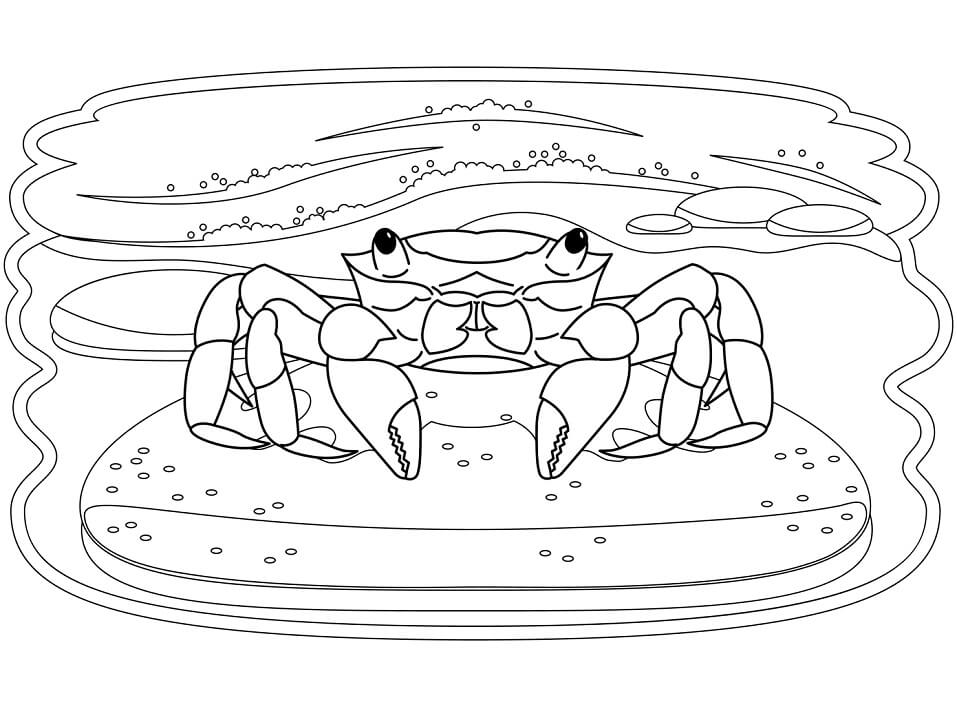 Desenho de Caranguejo para Imprimir Lápis de Cor e Pintar