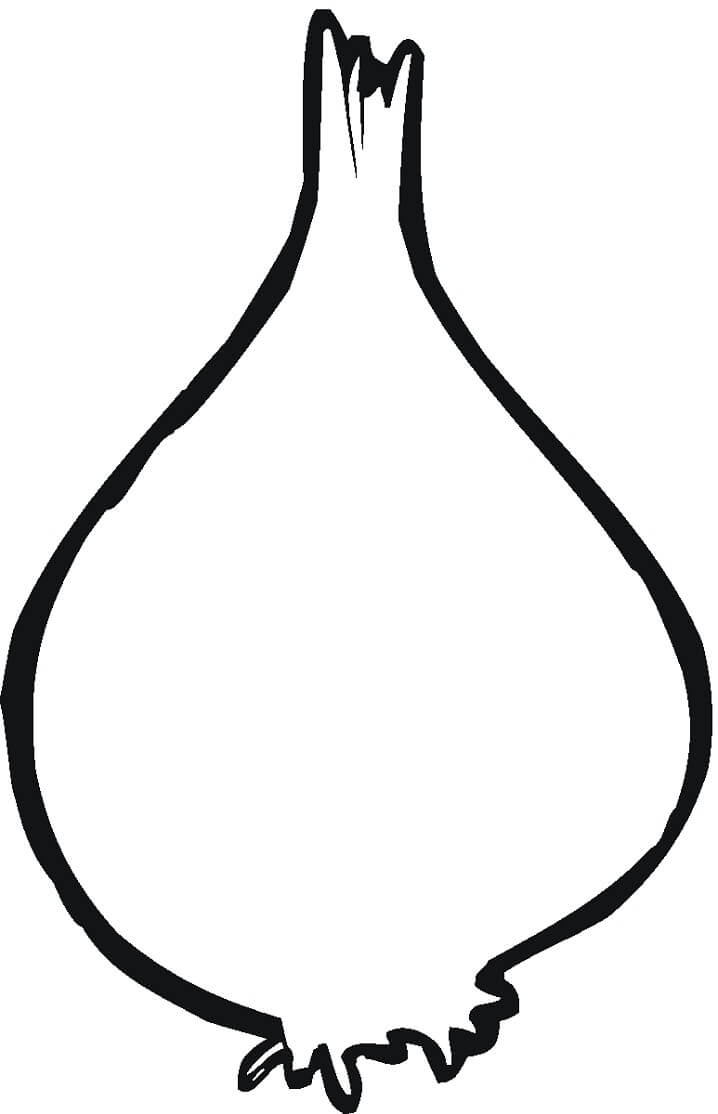 Desenho de Cebola Colorida para Colorir Pdf e Pintar