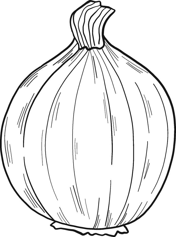 Desenho de Cebola Infantil para Imprimir e Pintar