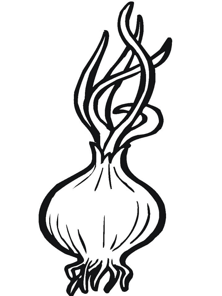Desenho de Cebola Pequena para Imprimir Lápis de Cor e Pintar