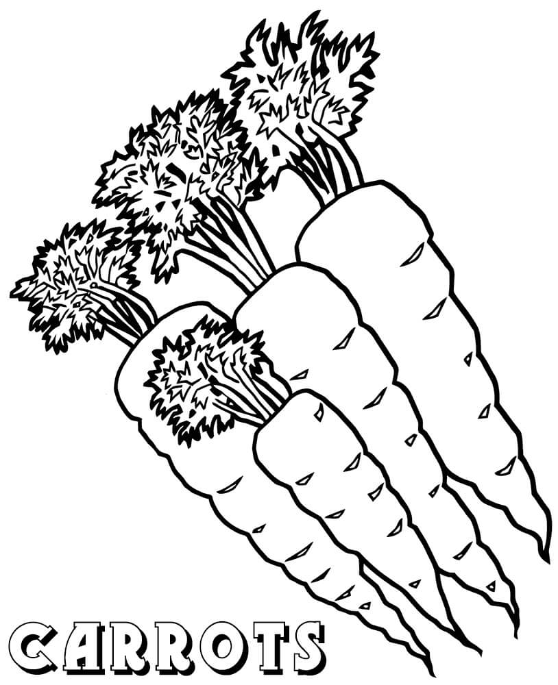 Desenho de Cenoura Cozida para Imprimir e Pintar