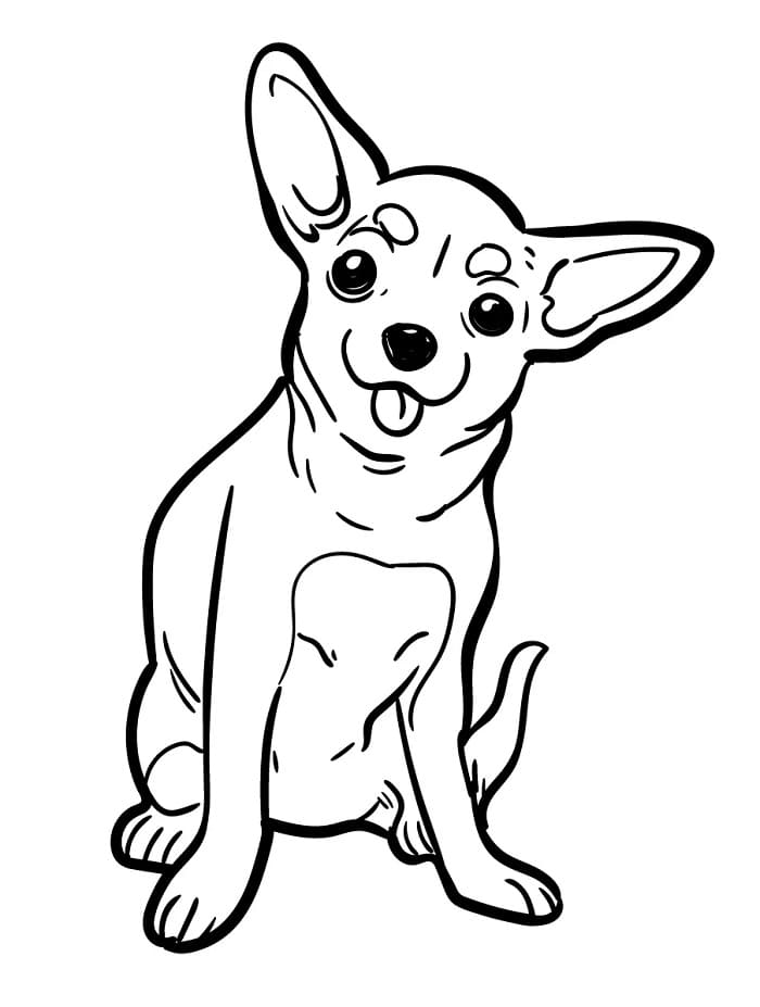 Desenho de Chihuahua Engraçado para Colorir