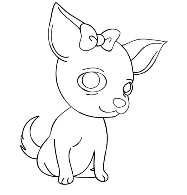 Desenho de Grátis Chihuahua para Colorir