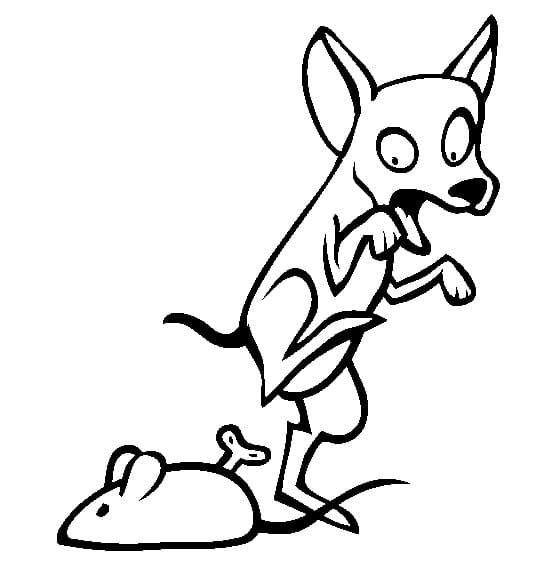 Desenho de Imprimivel Chihuahua para Crianças para Colorir