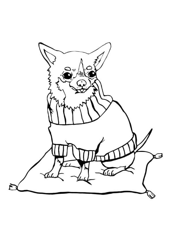 Desenho de Imprimivel Grátis Chihuahua para Colorir
