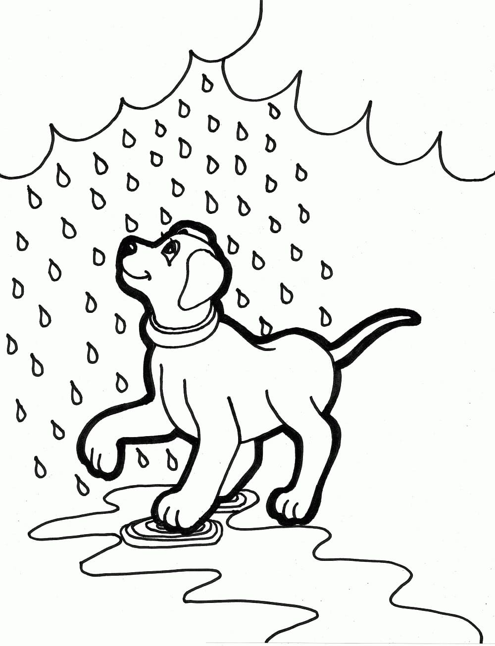 Desenho de Cachorro na Chuva para Colorir