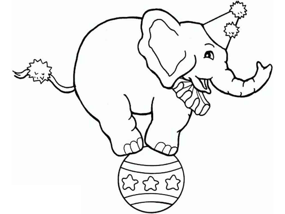 Desenho de um Elefante de Circo para Colorir e Pintar
