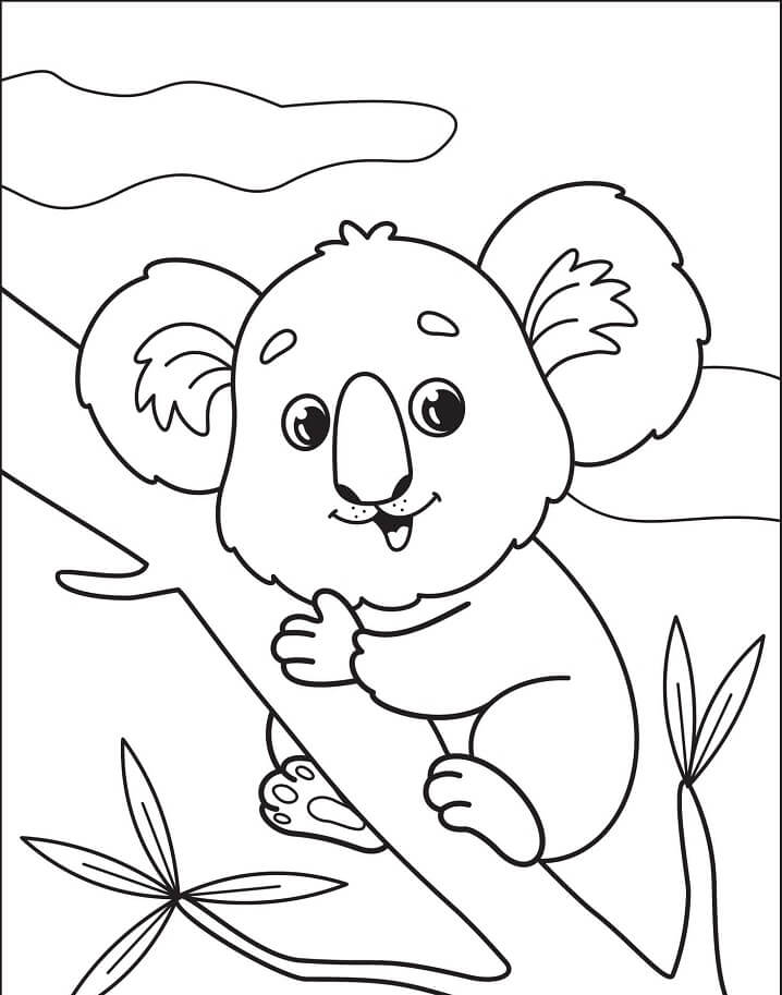 Desenho de Coala Imprimivel Download e Pintar