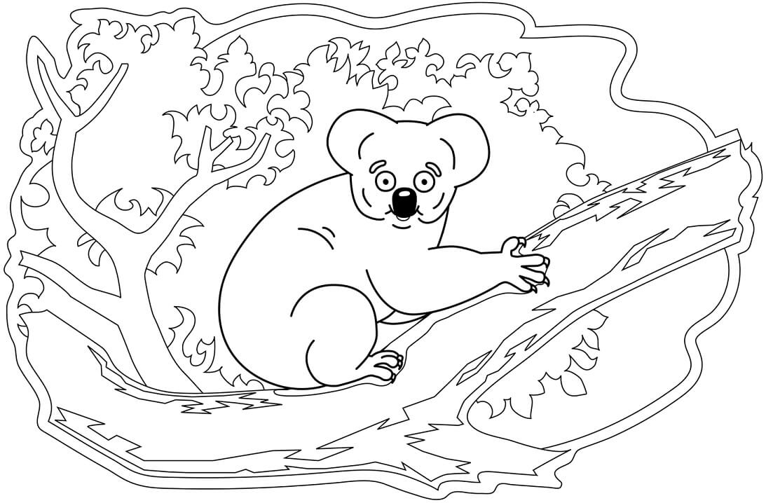 Desenho de Coala para Pintar Giz de Cera