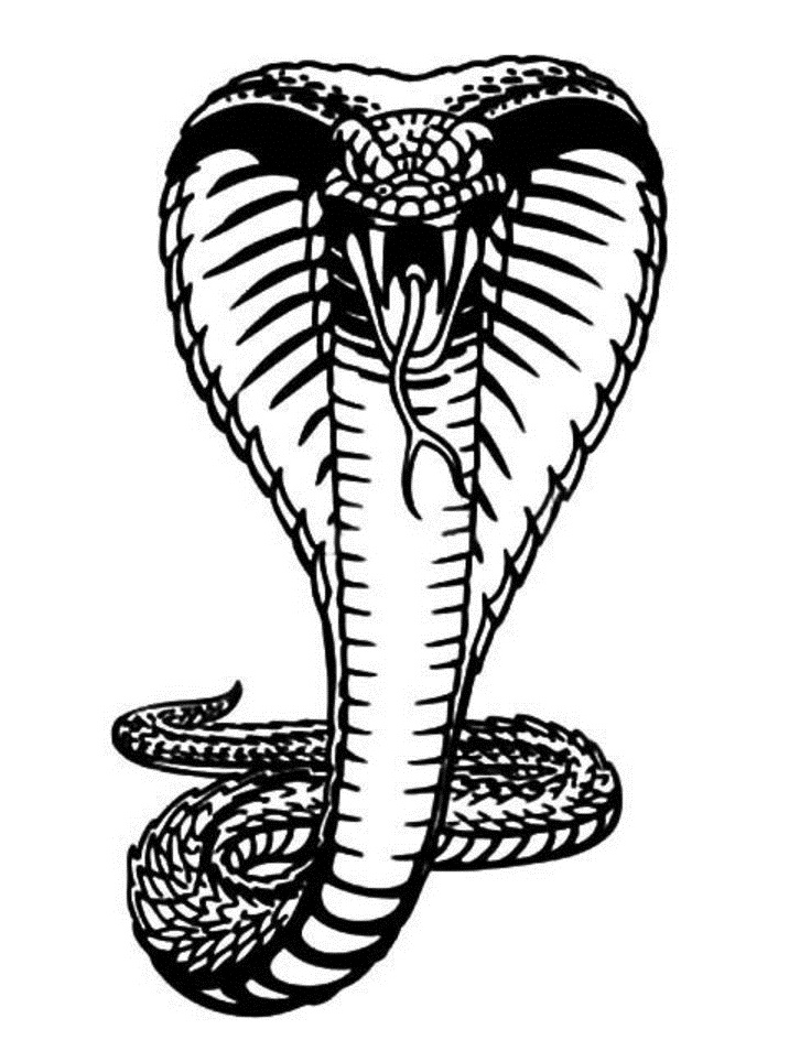 Desenho de Cobrá com Desenho Animado para Imprimir e Pintar