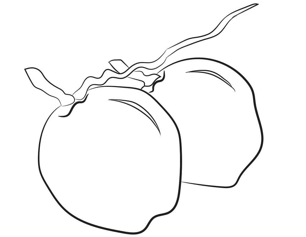 Desenho de Coço com Palmeira para Colorir e Pintar