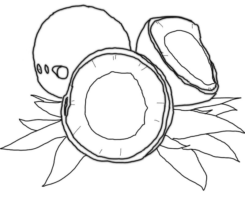 Desenho de Coço Infantil para Imprimir e Pintar