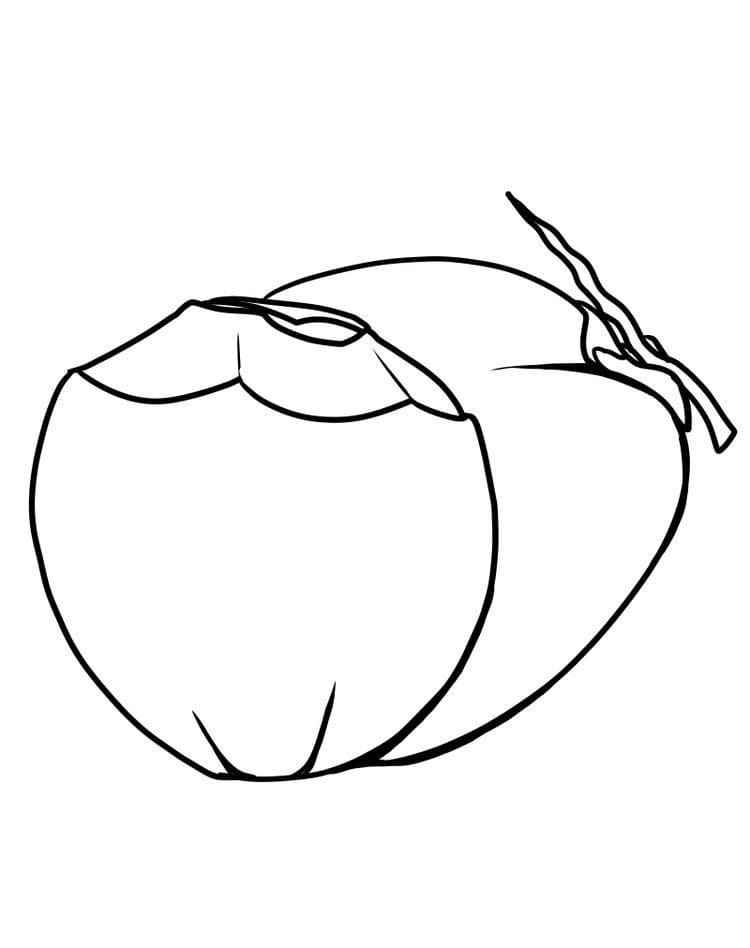 Desenho de Coço na Praia para Imprimir e Pintar