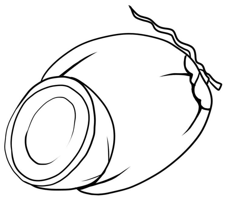 Desenho de Coço para Colorir Pdf e Pintar