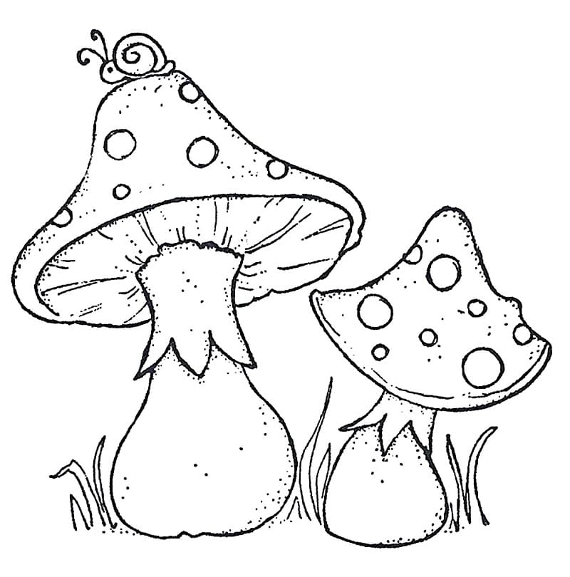 Desenho Dois Cogumelos para Colorir