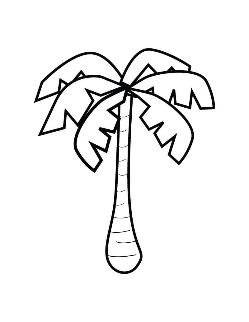 Desenho de Coqueiro Bonito para Colorir Pdf e Pintar