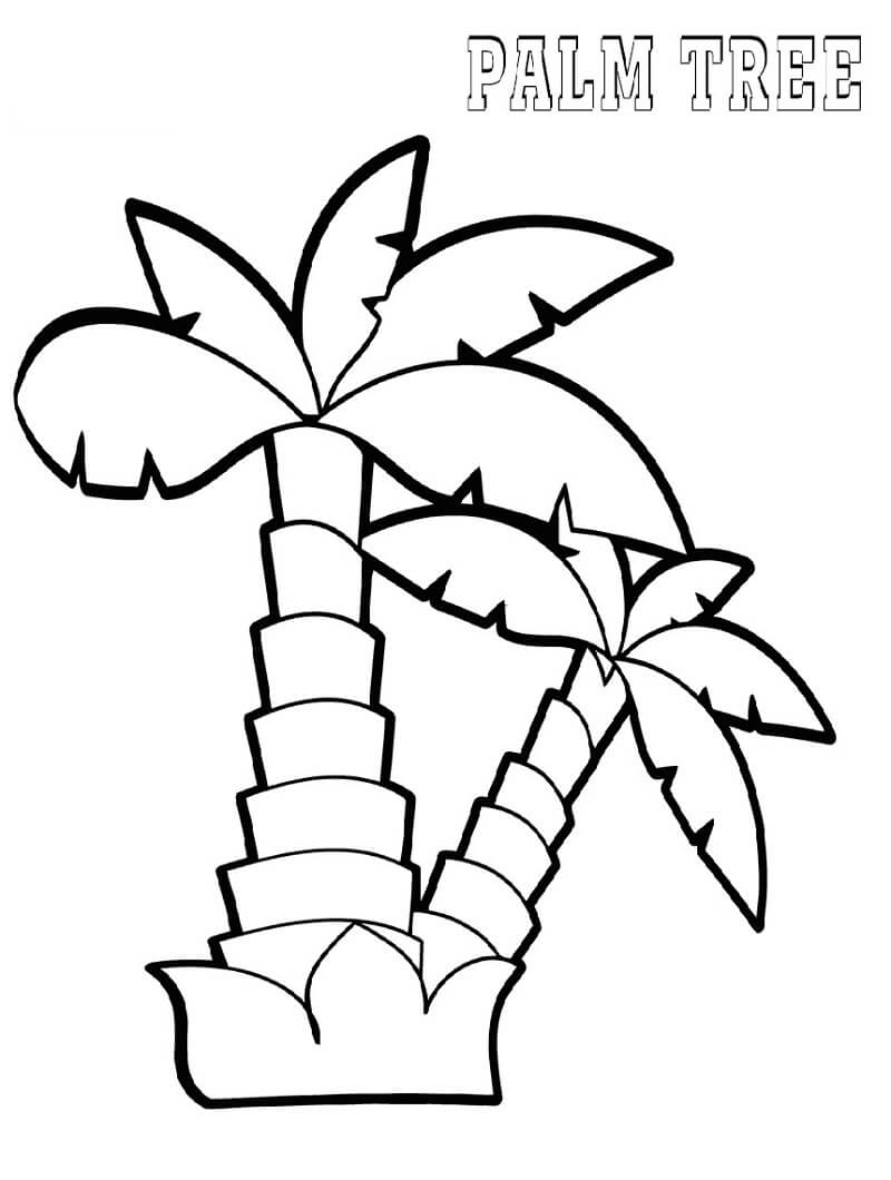 Desenho de Coqueiro Detalhado para Colorir Pdf e Pintar