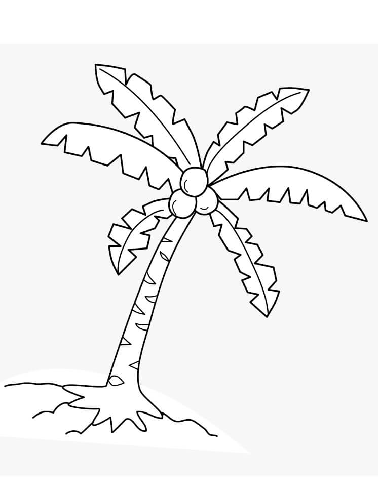 Desenho de Coqueiro Fofo para Colorir Pdf e Pintar