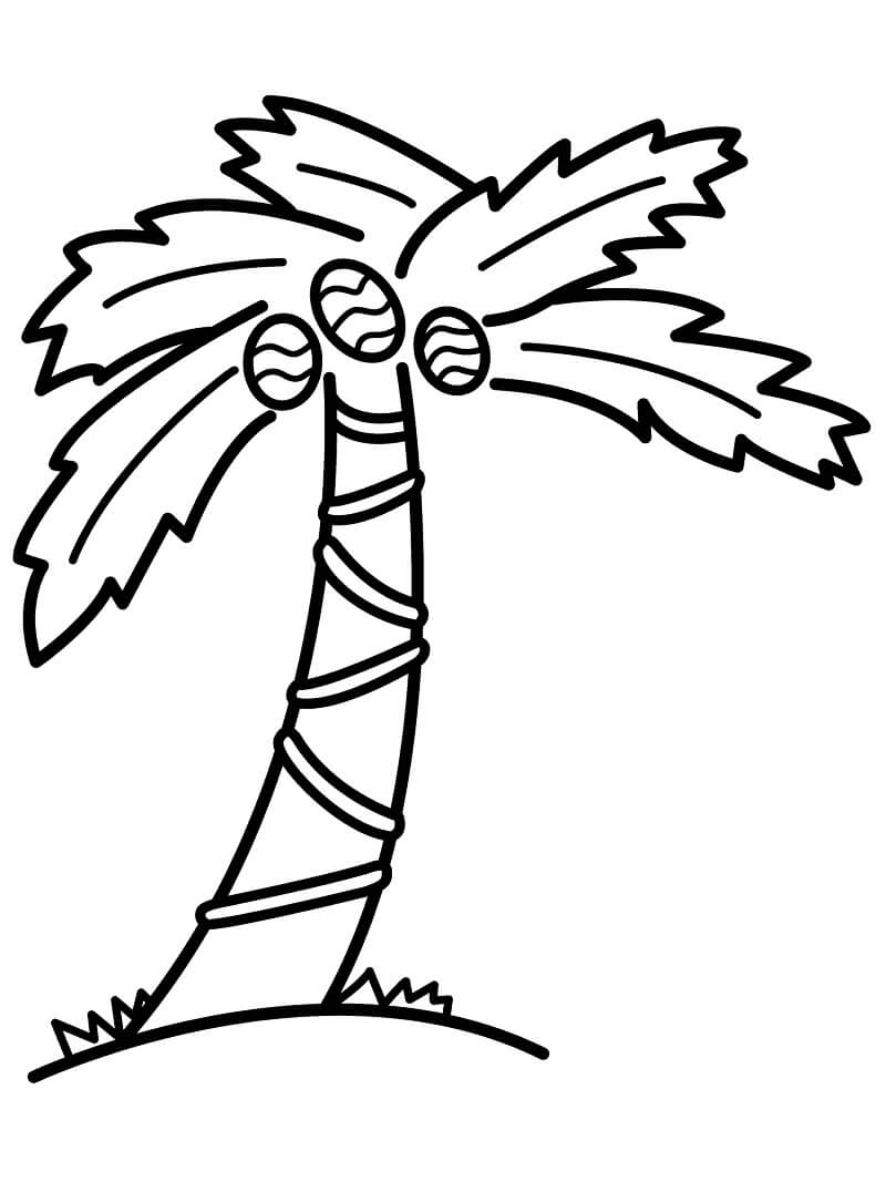Desenho de Coqueiro Grande para Colorir Pdf e Pintar