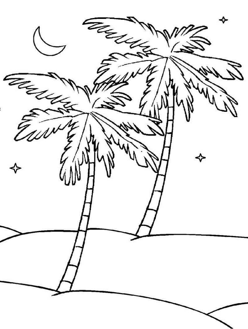 Desenho de Coqueiro Pequeno para Imprimir Lápis de Cor e Pintar