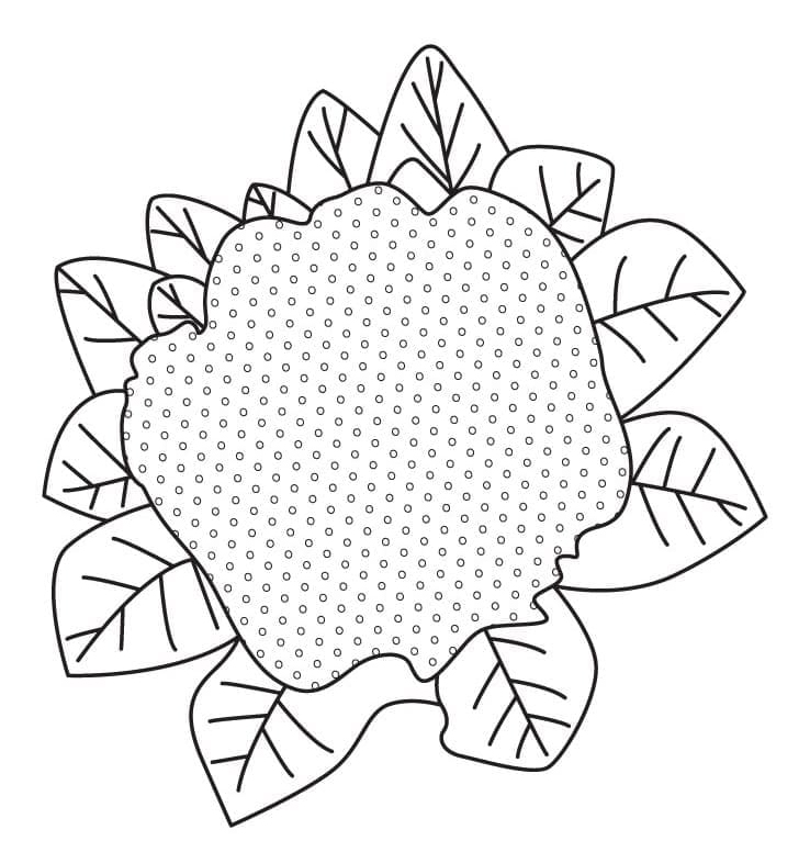 Desenho de Couve Flor Crua para Colorir Pdf e Pintar