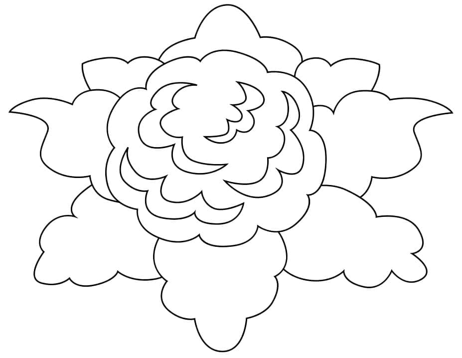 Desenho de Couve Flor Detalhada para Colorir e Pintar