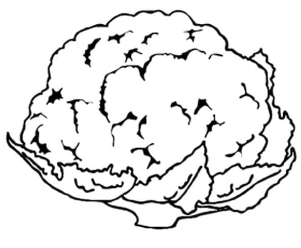 Desenho de Couve Flor Fofa para Colorir Pdf e Pintar