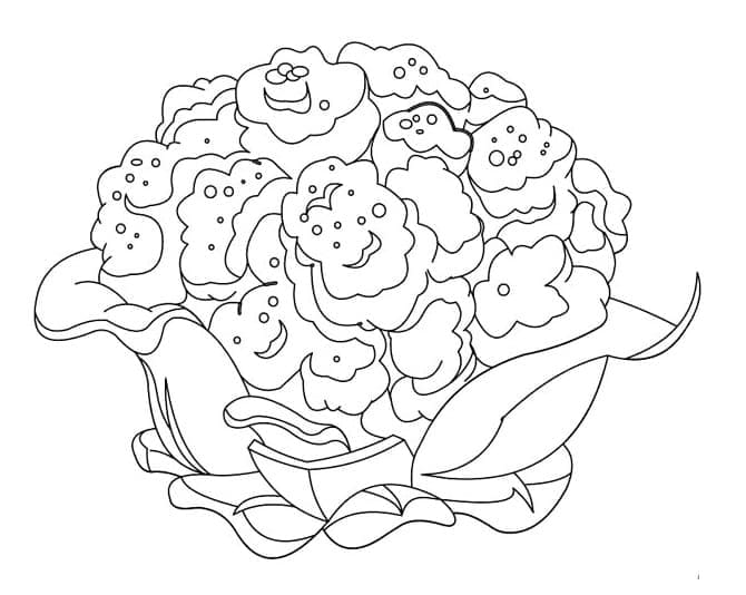 Desenho de Couve Flor para Pintar Giz de Cera