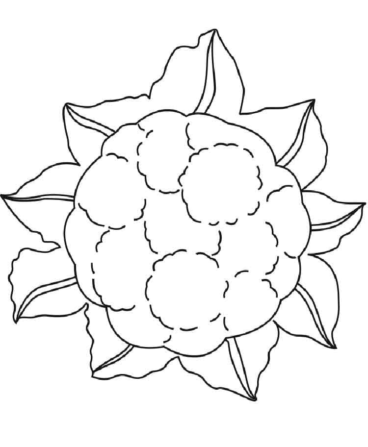 Desenho de Couve Flor Simples para Imprimir Lápis de Cor e Pintar