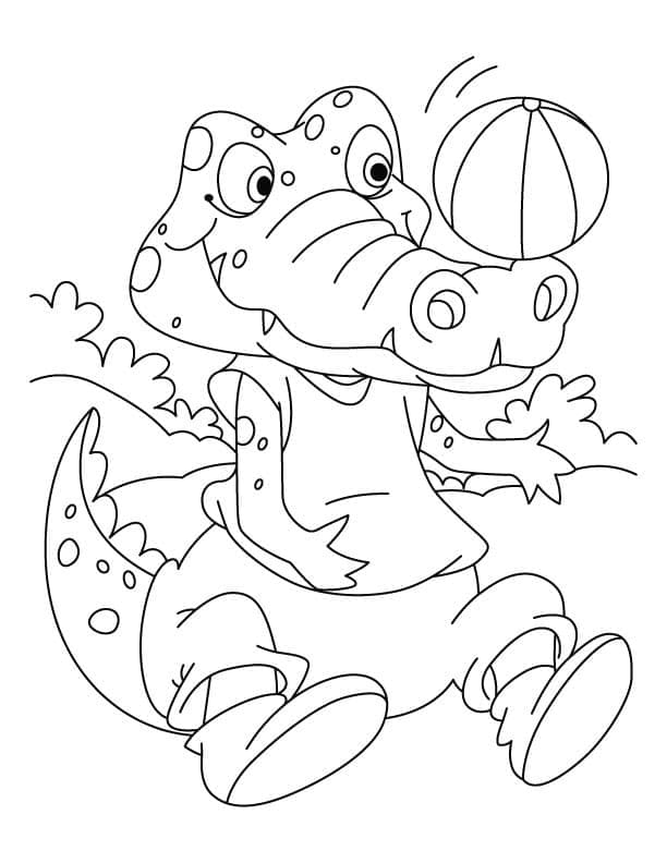 Desenhos de Crocodilo para Colorir
