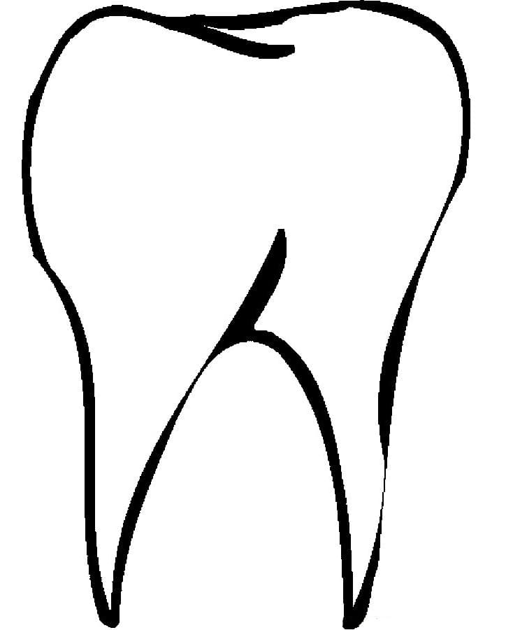 Desenho de Dente Infantil para Imprimir e Pintar