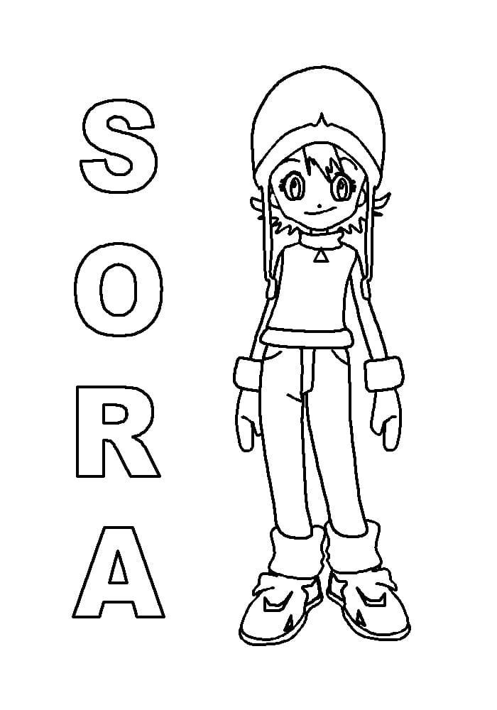 Desenho de Sora de Digimon para Colorir e Pintar