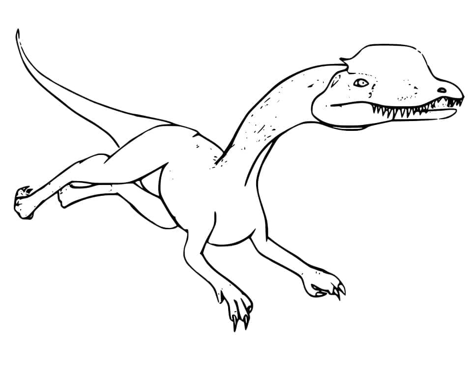 Desenho de Dinossauro Dilofossauro para Colorir e Pintar