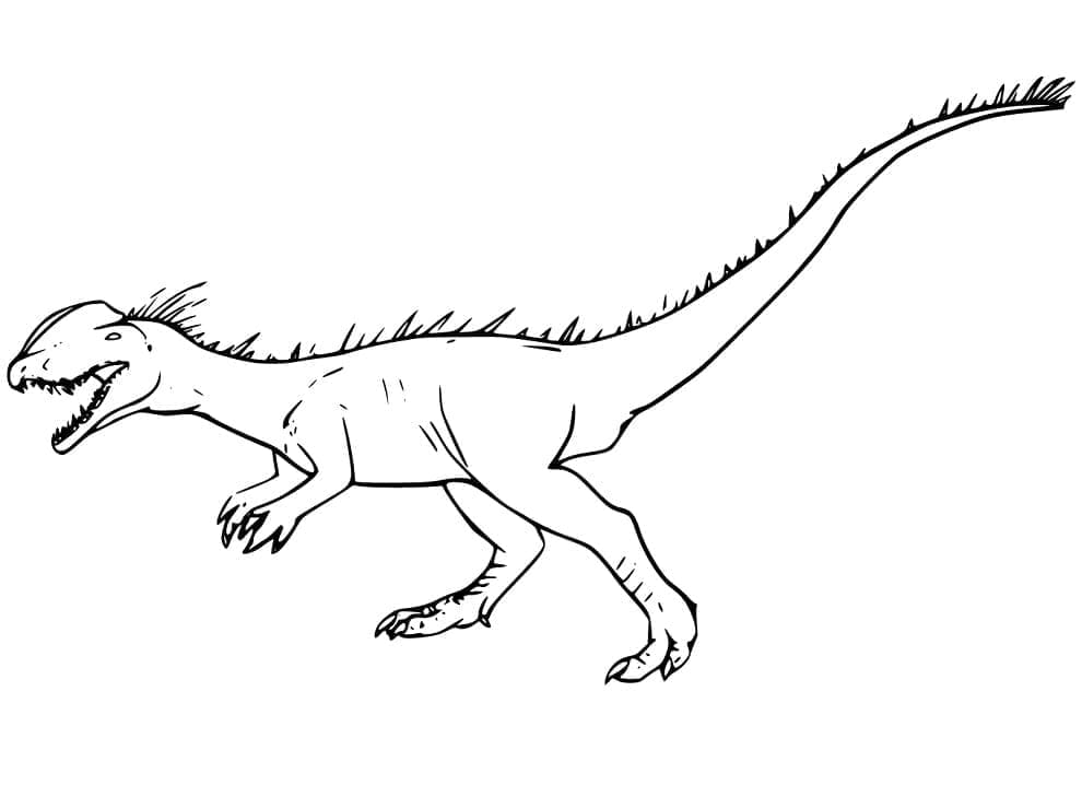 Desenho de um Dinossauro Dilofossauro para Colorir e Pintar
