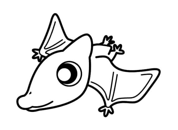 Desenho de Bebê Pterodáctilo para Colorir e Pintar