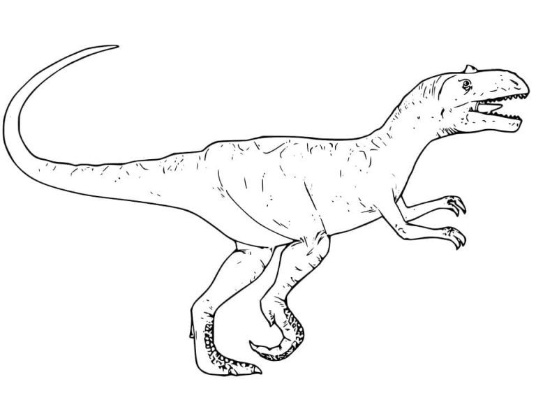 Desenho de Alossauro Dinossauro Imprimivel para Colorir 768×573